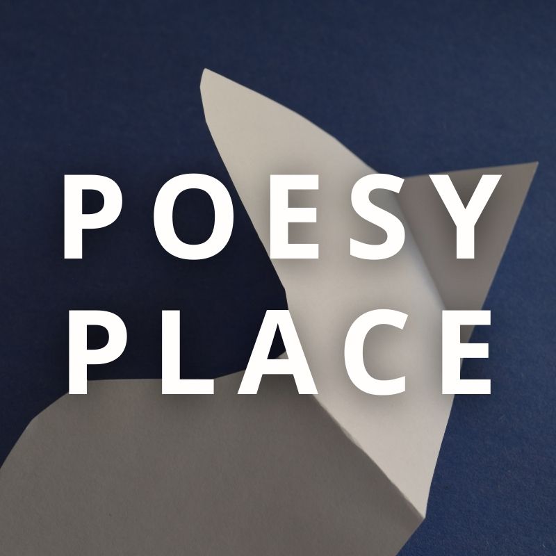 Decoding Civility, a poem by Snigdha Agrawal at Poesy Place. Publish your poetry online and grow your portfolio.